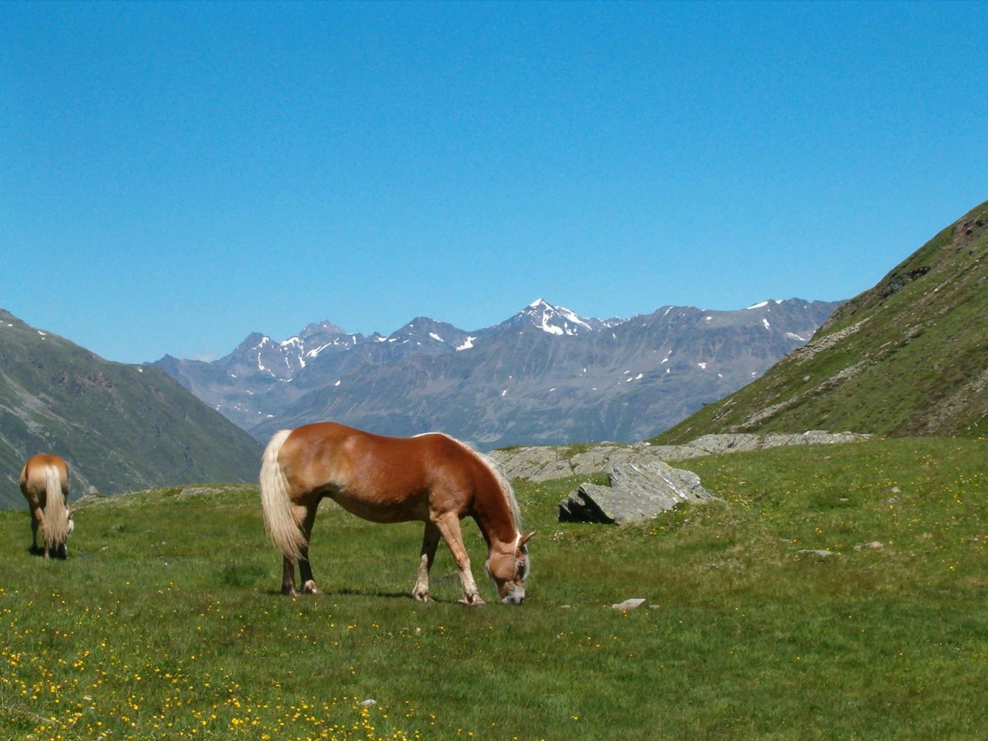 Hotel Neue Post Sölden Dış mekan fotoğraf